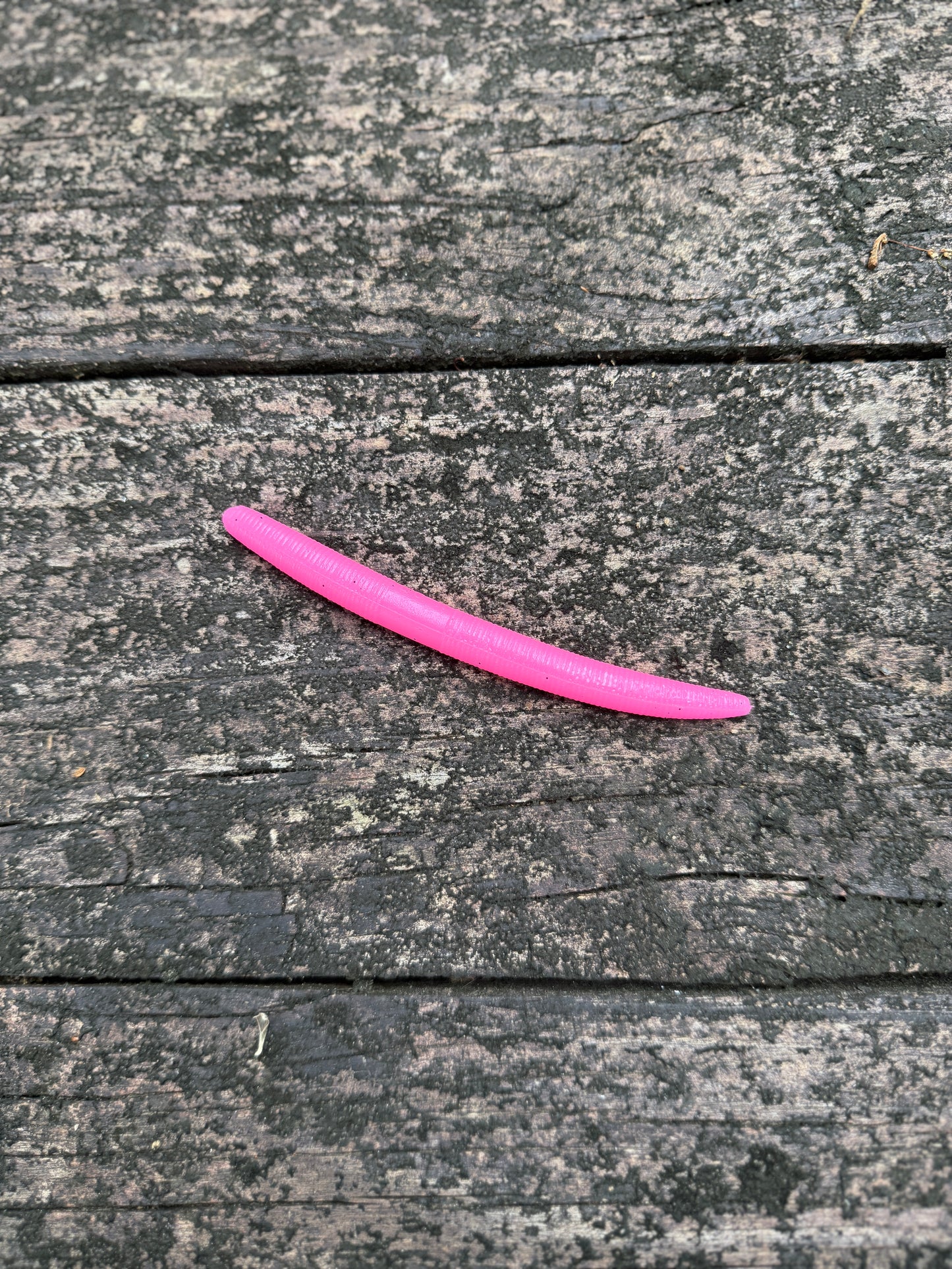 Senko worms