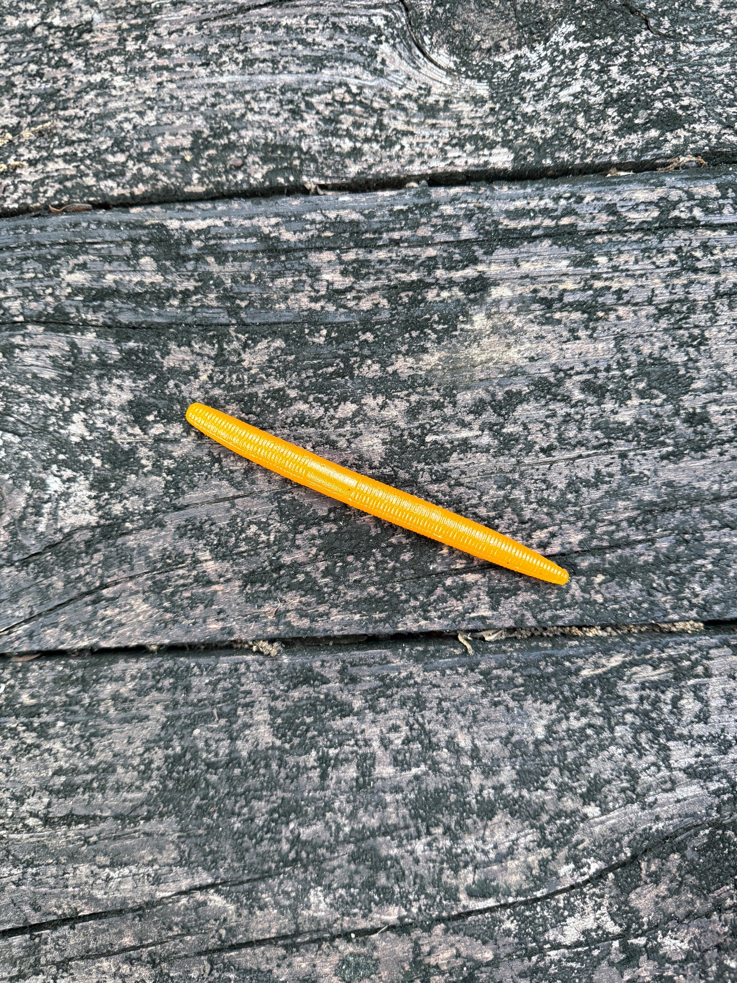 Senko worms